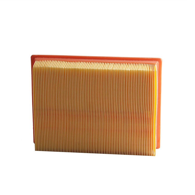 Standard Size High Performance Car Parts 13721730946 Cheap Auto Air Filters