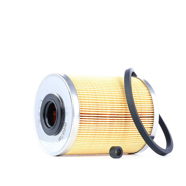 Quality Diesel Engine Fuel Filter 4501003 HDR2395P F1004 41650-502320 for GM